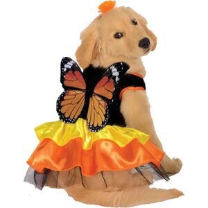 Rubies Monarch Butterfly Pet Costume for Dog Size M Medium